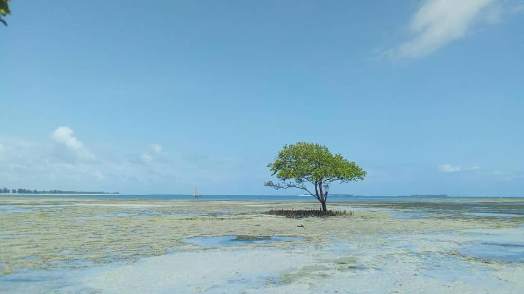 L&J Modern Backpackers Kigamboni Beach House Bed and Breakfast Dar es Salaam Esterno foto